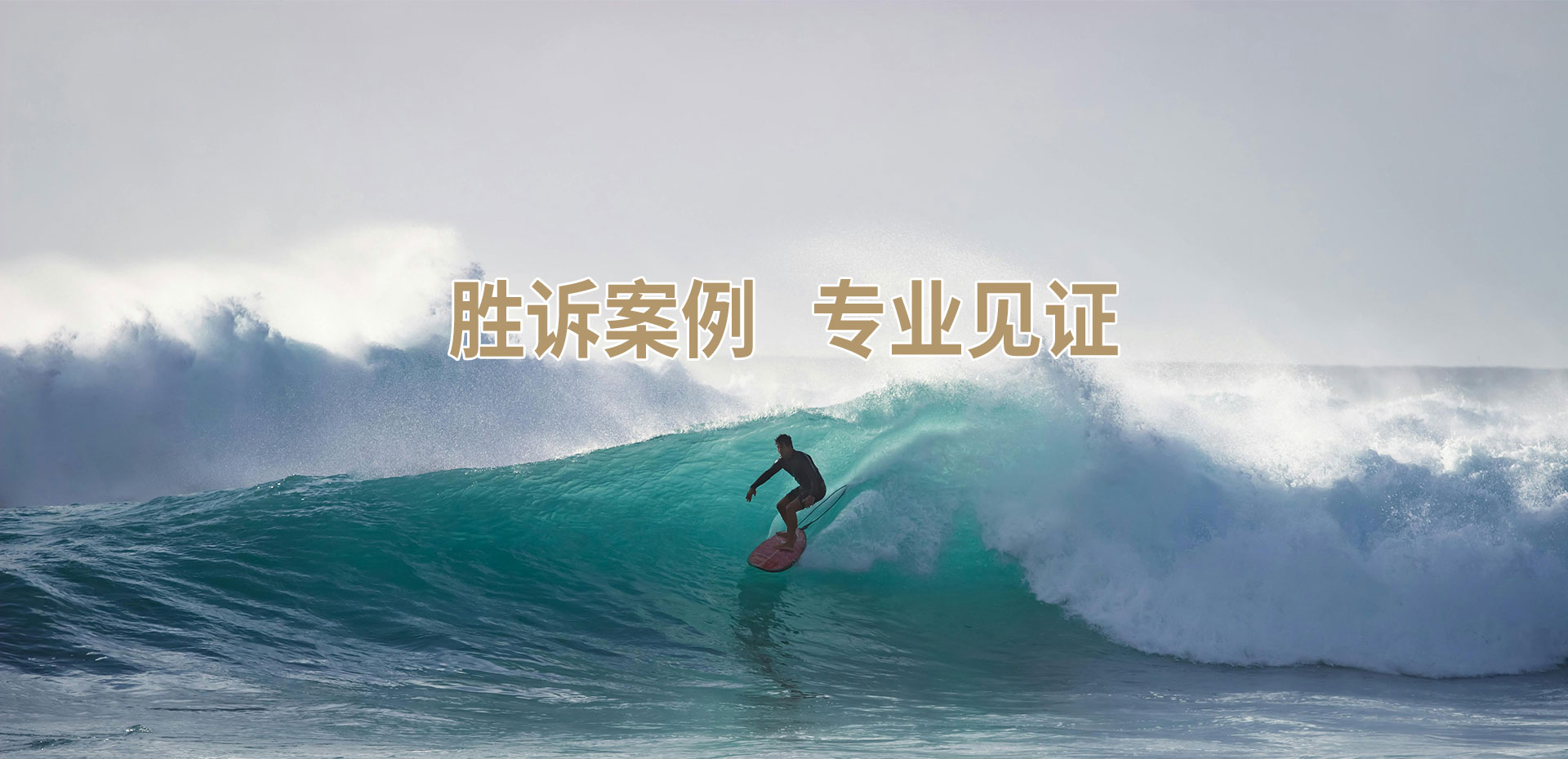 胜诉案例 专业辩护